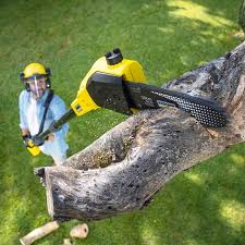 Best Lawn Maintenance Plans  in Hockessin, DE